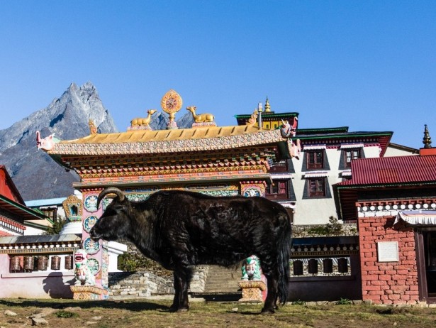 TENGBOCHE MONASTERY