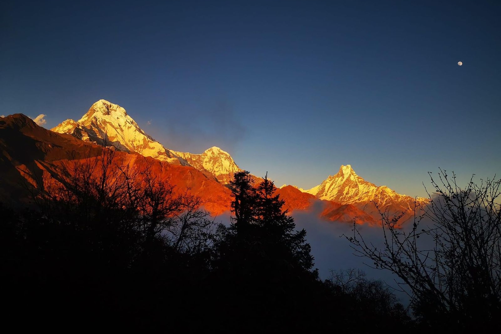 Annapurna Panorama Trek