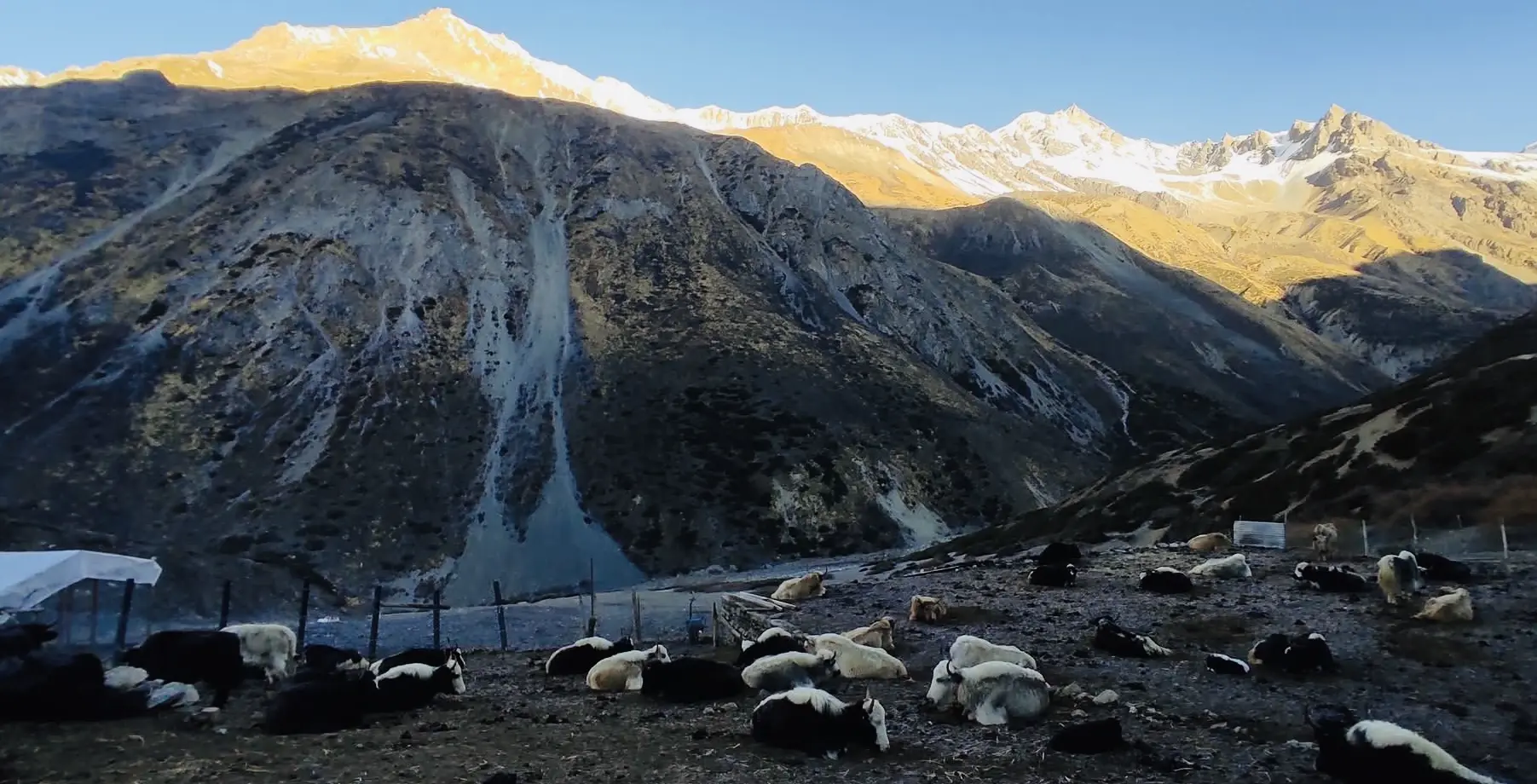 Annapurna Thorang la Trek
