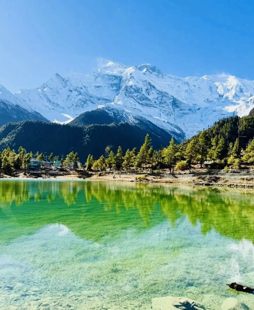 Annapurna Thorang la Trek