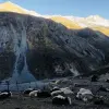 Annapurna Thorang la Trek