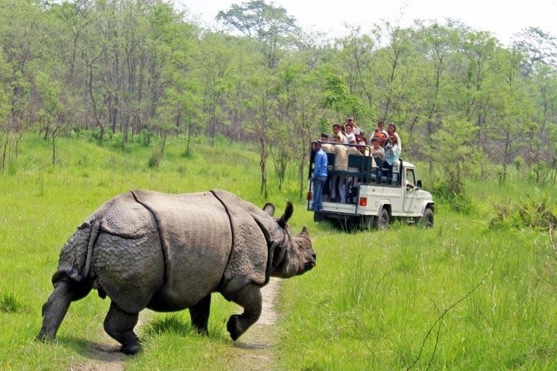 Chitwan National Park wildlife tour