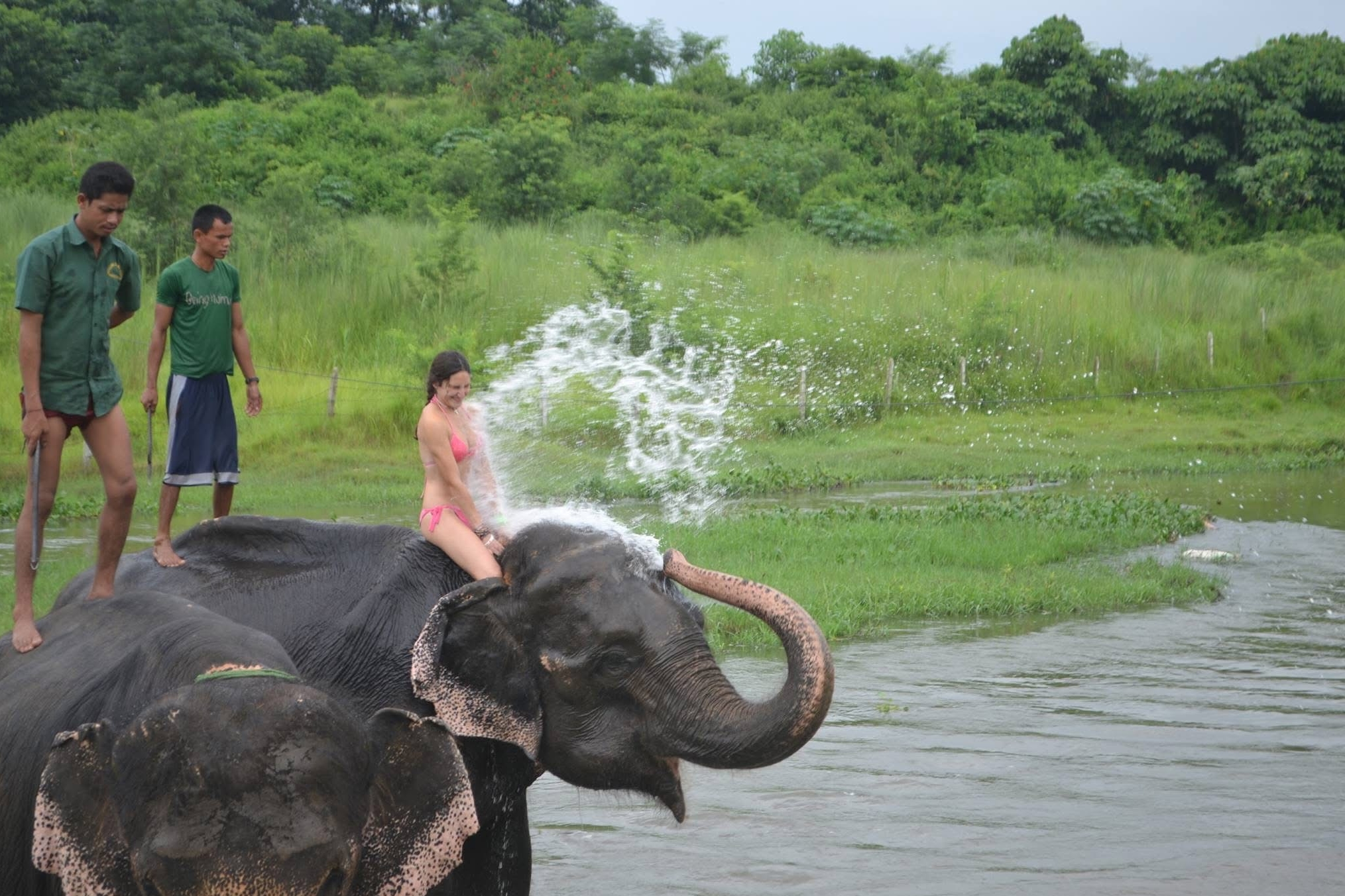 Chitwan National Park wildlife tour