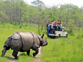 Chitwan National Park wildlife tour