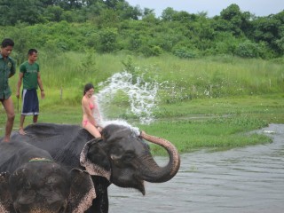 Chitwan National Park wildlife tour