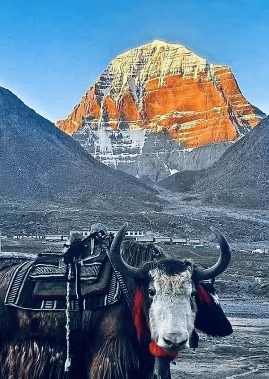 Kailash Mansarovar Tour