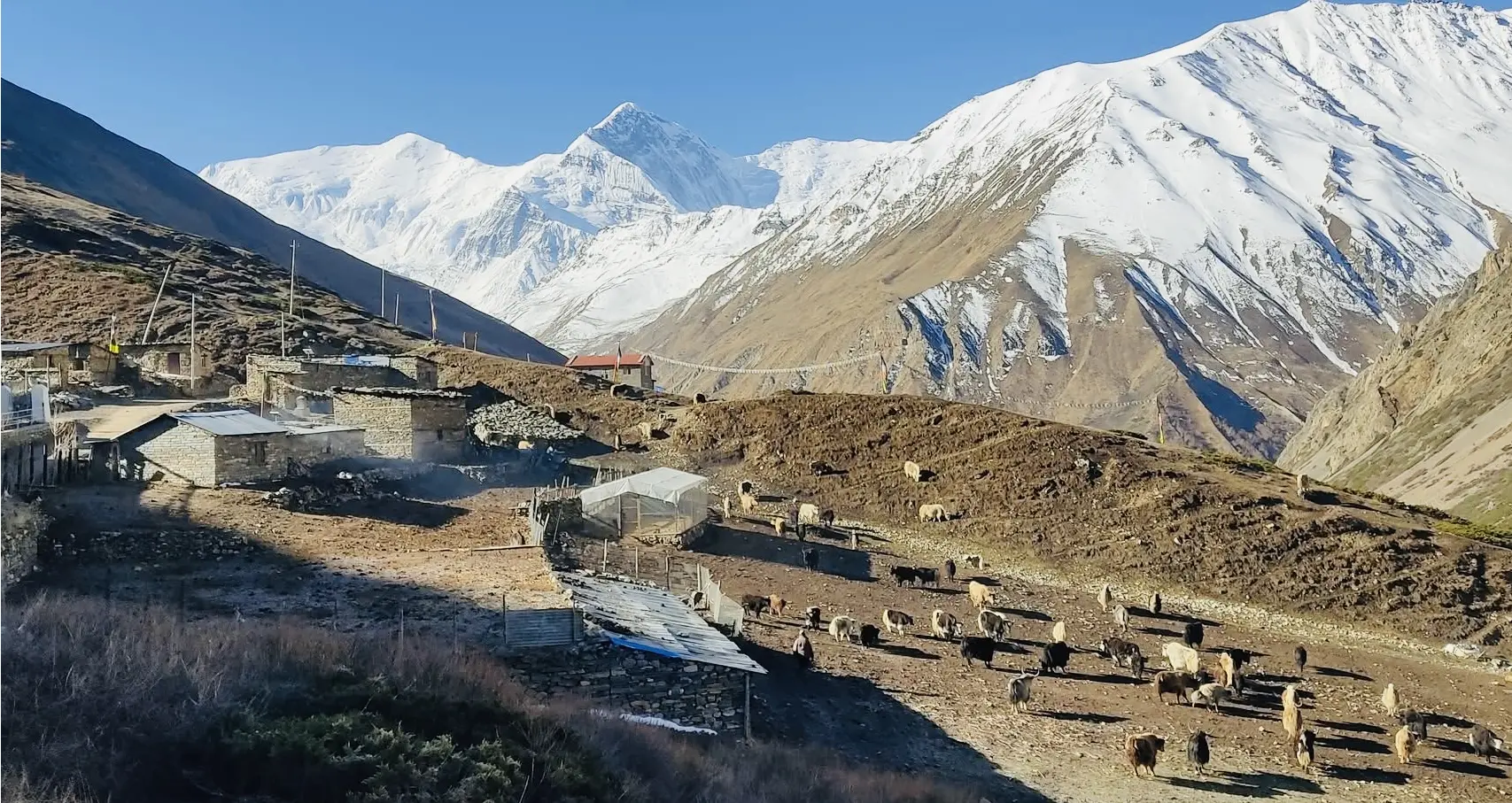 Short Annapurna Circuit Trek